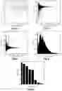 Fig. 04 - BIOLOGICAL SEQUENCE INFORMATION HANDLING