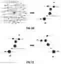 Fig. 07 - BIOLOGICAL SEQUENCING