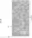 Fig. 14 - METHOD AND APPARATUS FOR COMPRESSING FASTQ DATA THROUGH CHARACTER FREQUENCY-BASED SEQUENCE REORDERING