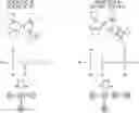 Fig. 01 - Crystal analysis method, crystal analysis device, and storage medium