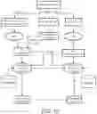 Fig. 11 - CONTEXT DRIVEN SUMMARY VIEW OF RADIOLOGY FINDINGS