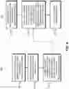 Fig. 07 - Systems and methods for processing images to prepare slides for processed images for digital pathology