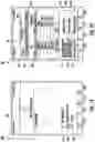 Fig. 12 - SYSTEMS AND METHODS FOR MEDICAL DEVICE TASK GENERATION AND MANAGEMENT