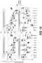 Fig. 40 - SYSTEMS AND METHODS FOR SIGNAL BASED FEATURE ANALYSIS TO DETERMINE CLINICAL OUTCOMES
