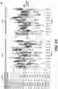 Fig. 44 - SYSTEMS AND METHODS FOR SIGNAL BASED FEATURE ANALYSIS TO DETERMINE CLINICAL OUTCOMES