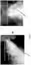 Fig. 08 - Computer simulation of human respiratory droplets