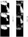 Fig. 15 - Computer simulation of human respiratory droplets