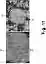 Fig. 09 - Moderated nuclear cask composite