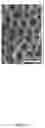 Fig. 08 - Electronic blackbody cavity and secondary electron detection device using the same