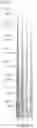 Fig. 08 - WIRE ARRAY AND BIO-IMPLANTABLE DEVICE COMPRISING SAME