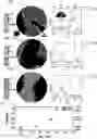 Fig. 01 - Large Dzyaloshinskii-Moriya Interaction and Perpendicular Magnetic Anisotrophy Induced by Chemisorbed Species on Ferromagnets