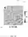 Fig. 16 - Large Dzyaloshinskii-Moriya Interaction and Perpendicular Magnetic Anisotrophy Induced by Chemisorbed Species on Ferromagnets