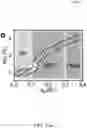 Fig. 18 - Large Dzyaloshinskii-Moriya Interaction and Perpendicular Magnetic Anisotrophy Induced by Chemisorbed Species on Ferromagnets