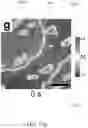 Fig. 20 - Large Dzyaloshinskii-Moriya Interaction and Perpendicular Magnetic Anisotrophy Induced by Chemisorbed Species on Ferromagnets