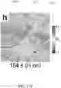 Fig. 21 - Large Dzyaloshinskii-Moriya Interaction and Perpendicular Magnetic Anisotrophy Induced by Chemisorbed Species on Ferromagnets