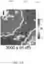 Fig. 22 - Large Dzyaloshinskii-Moriya Interaction and Perpendicular Magnetic Anisotrophy Induced by Chemisorbed Species on Ferromagnets
