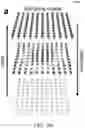 Fig. 24 - Large Dzyaloshinskii-Moriya Interaction and Perpendicular Magnetic Anisotrophy Induced by Chemisorbed Species on Ferromagnets