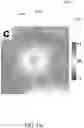 Fig. 26 - Large Dzyaloshinskii-Moriya Interaction and Perpendicular Magnetic Anisotrophy Induced by Chemisorbed Species on Ferromagnets