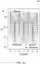 Fig. 35 - Large Dzyaloshinskii-Moriya Interaction and Perpendicular Magnetic Anisotrophy Induced by Chemisorbed Species on Ferromagnets
