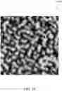 Fig. 40 - Large Dzyaloshinskii-Moriya Interaction and Perpendicular Magnetic Anisotrophy Induced by Chemisorbed Species on Ferromagnets