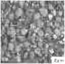 Fig. 01 - Rare-earth magnet and method of manufacturing the same