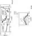 Fig. 04 - METHOD TO INDUCE TUNABLE FERROMAGNETISM WITH PERPENDICULAR MAGNETIC ANISOTROPY IN DELAFOSSITE FILMS