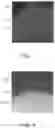 Fig. 07 - Multilayered electronic component and method of manufacturing the same