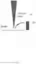 Fig. 02 - Secondary electron probe and secondary electron detector
