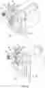 Fig. 07 - Reactive particles supply system