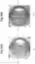 Fig. 15 - Light emitting sealed body, light emitting unit, and light source device