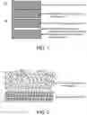 Fig. 02 - OPTIMIZING GROWTH METHOD FOR IMPROVING QUALITY OF MOCVD EPITAXIAL THIN FILMS