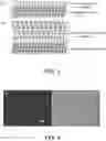 Fig. 03 - OPTIMIZING GROWTH METHOD FOR IMPROVING QUALITY OF MOCVD EPITAXIAL THIN FILMS