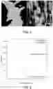 Fig. 04 - OPTIMIZING GROWTH METHOD FOR IMPROVING QUALITY OF MOCVD EPITAXIAL THIN FILMS
