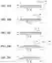 Fig. 21 - Substrate processing method and substrate processing apparatus