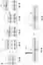 Fig. 04 - Carrier for microelectronic assemblies having direct bonding