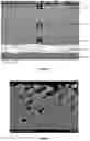 Fig. 05 - High density corrosion resistant layer arrangement for electrostatic chucks