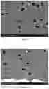 Fig. 06 - High density corrosion resistant layer arrangement for electrostatic chucks