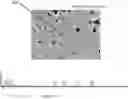 Fig. 07 - High density corrosion resistant layer arrangement for electrostatic chucks