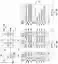 Fig. 21 - Memory device including self-aligned conductive contacts