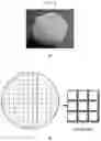 Fig. 03 - Die division method and inspection apparatus for avoiding defects locations on silicon carbide wafers