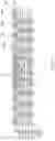 Fig. 20 - Semiconductor package structure and method for manufacturing the same