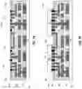 Fig. 11 - SHIELD STRUCTURES IN MICROELECTRONIC ASSEMBLIES HAVING DIRECT BONDING