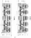 Fig. 12 - SHIELD STRUCTURES IN MICROELECTRONIC ASSEMBLIES HAVING DIRECT BONDING