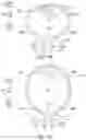 Fig. 19 - ELECTRONIC DEVICE