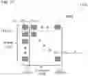 Fig. 16 - Package system and package