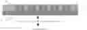 Fig. 01 - Directly bonded structures without intervening adhesive and methods for forming the same