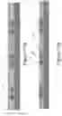 Fig. 14 - Directly bonded structures without intervening adhesive and methods for forming the same