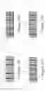 Fig. 18 - Directly bonded structures without intervening adhesive and methods for forming the same