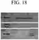 Fig. 14 - Chemical bonding method and joined structure