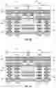 Fig. 10 - Microelectronic structures including bridges